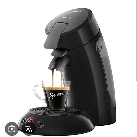 Paradise Cache Le Havre