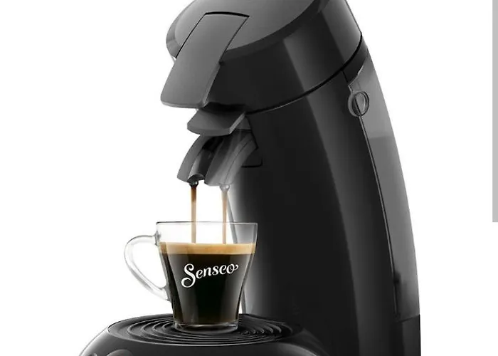 Paradise Cache 르아브르